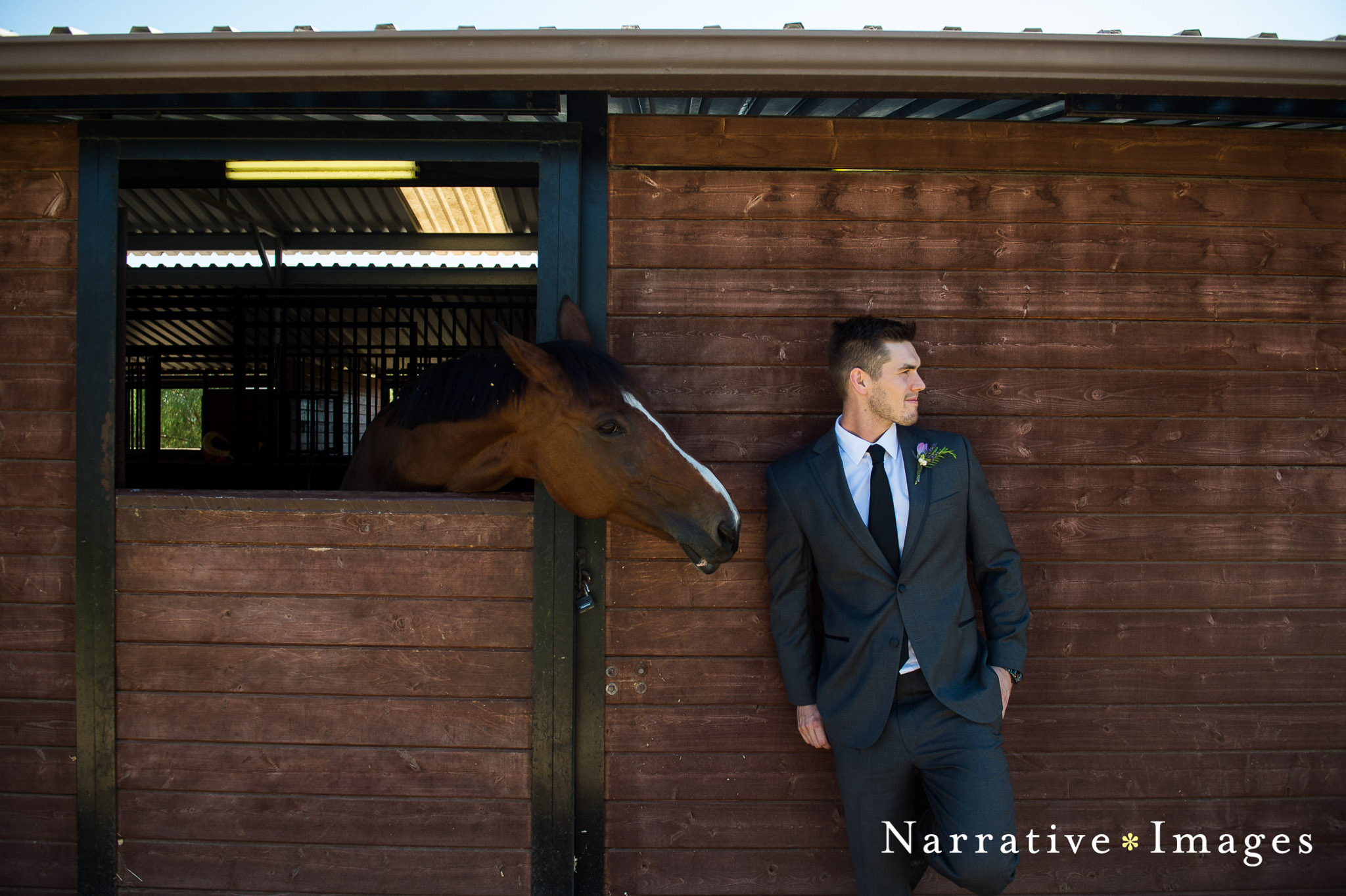 Groom stands next to horse in unexpected wedding moment at family's stables