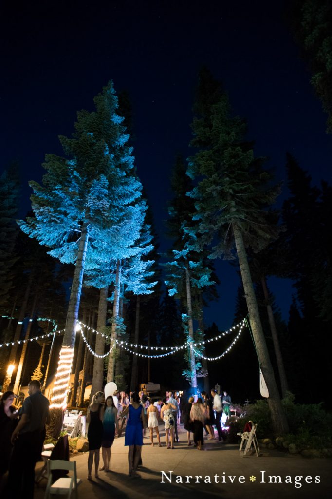 Rustic outdoor Wedding venue in woods with market lights