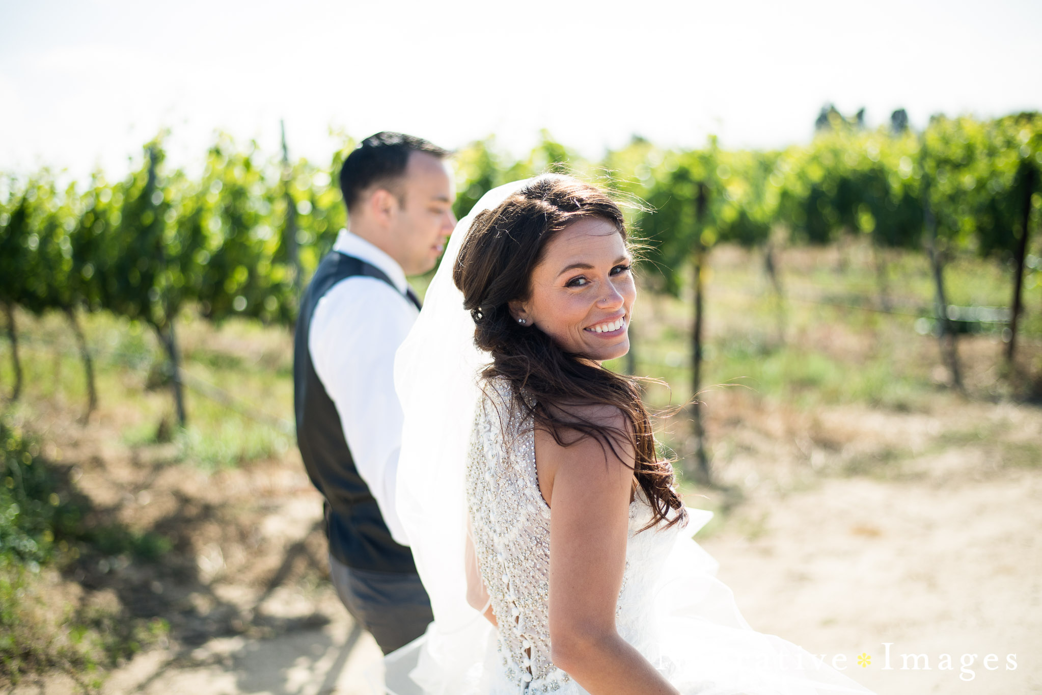 Bride glances back at camera holding grooms hand with vineyard in background as wind blows veil Mt. Palomar winery wedding