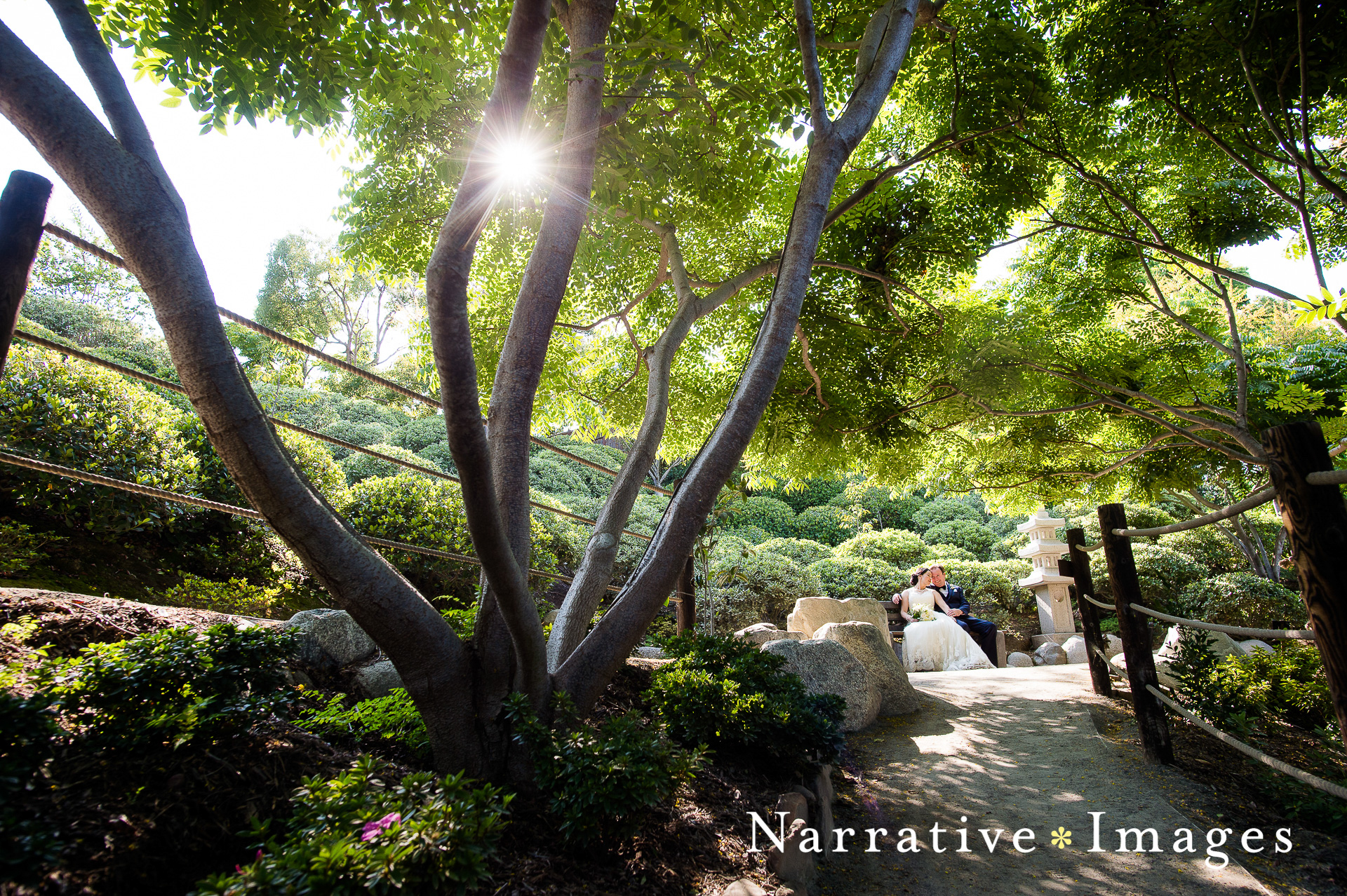 Bride and Groom sit on a bench, surrounded by trees in the Japanese Friendship Gardens in San Diego